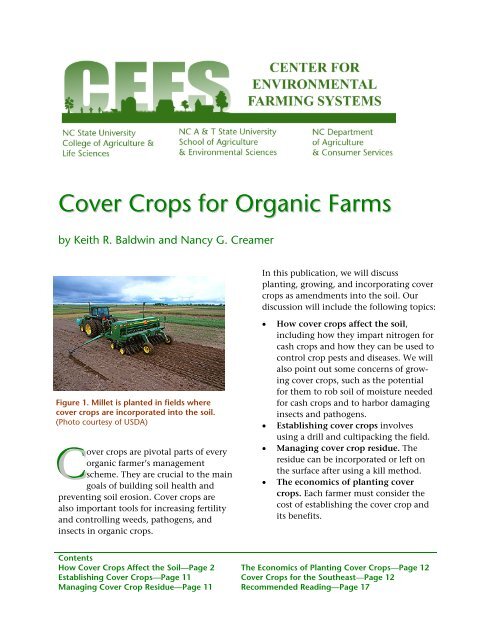 Cover Crops for Organic Farms