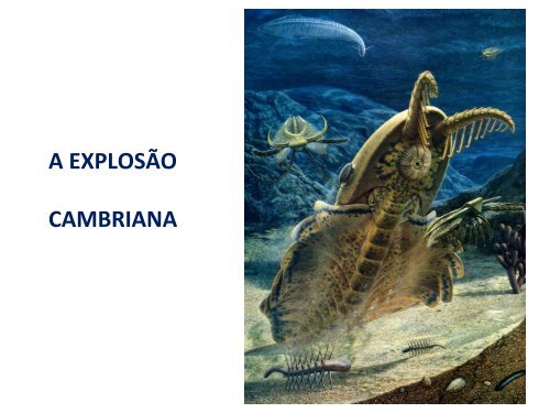 A EXPLOSÃ O CAMBRIANA - Instituto de Biologia da UFRJ