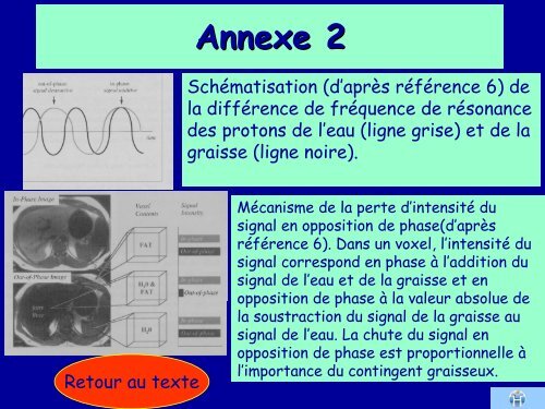 La sÃ©quence d'IRM en phase et en opposition de phase permet-elle ...