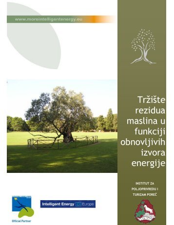 Tržište rezidua maslina u funkciji obnovljivih izvora energije