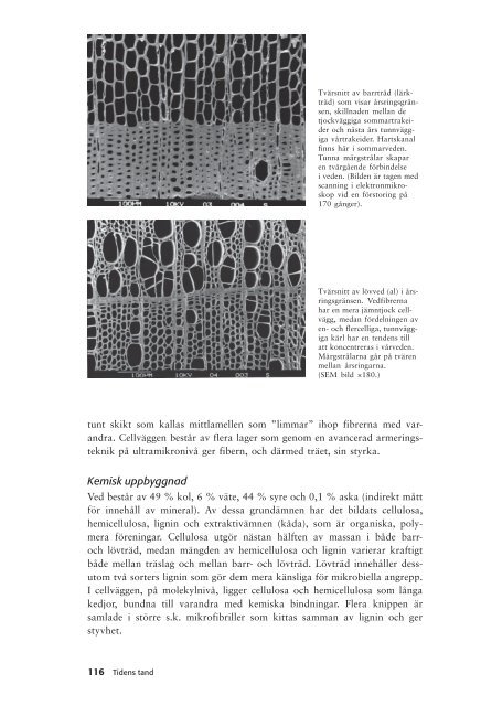 Tidens tand - RiksantikvarieÃ¤mbetet