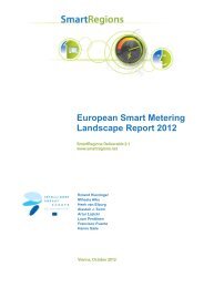 European Smart Metering Landscape Report 2012