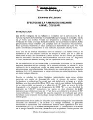 ProtecciÃ³n RadiolÃ³gica - Instituto Balseiro