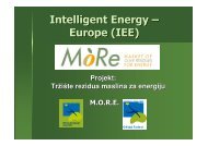 Intelligent Energy – Europe (IEE) - More intelligent energy