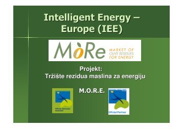 Intelligent Energy – Europe (IEE) - More intelligent energy