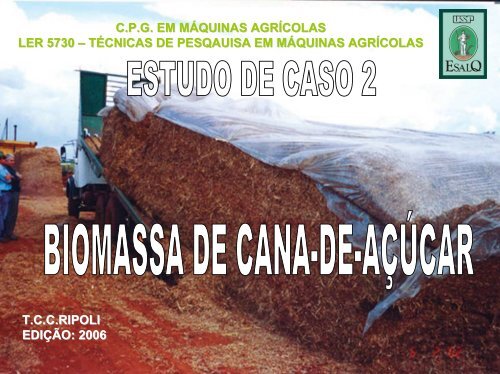 cap.08 ESTUDO DE CASO BIOMASSA.pdf - LEB/ESALQ/USP