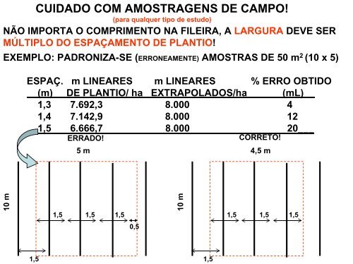 cap.08 ESTUDO DE CASO BIOMASSA.pdf - LEB/ESALQ/USP