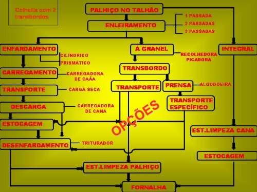 cap.08 ESTUDO DE CASO BIOMASSA.pdf - LEB/ESALQ/USP