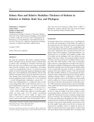 Kidney Mass and Relative Medullary Thickness of Rodents in ...