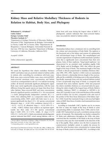 Kidney Mass and Relative Medullary Thickness of Rodents in ...