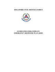 guidelines for company emergency response plan (erp)