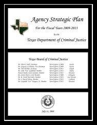 Agency Strategic Plan for the Fiscal Years 2009-2013 - Texas ...