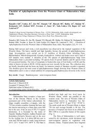 View PDF - Mycosphere-online journal