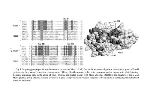 Protein Engineering Protocols - Mycobacteriology research center