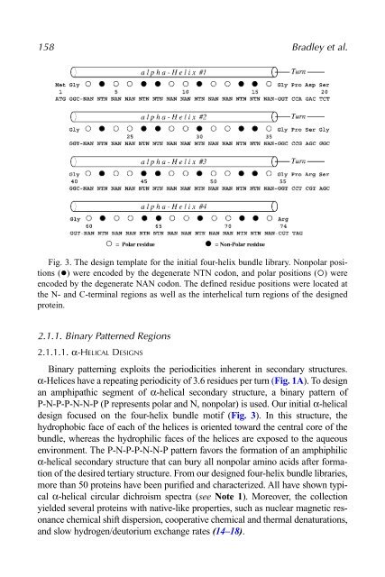 Protein Engineering Protocols - Mycobacteriology research center