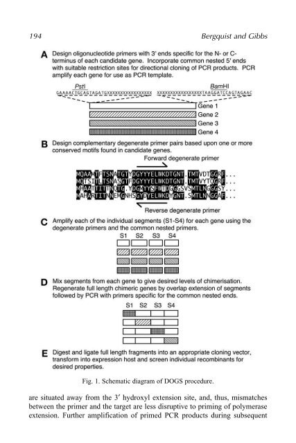 Protein Engineering Protocols - Mycobacteriology research center