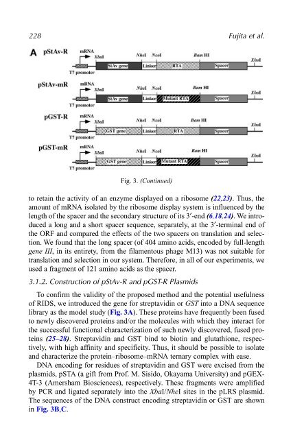 Protein Engineering Protocols - Mycobacteriology research center