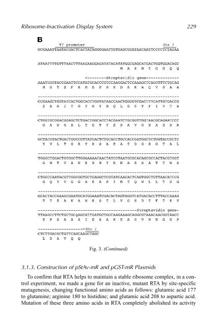 Protein Engineering Protocols - Mycobacteriology research center