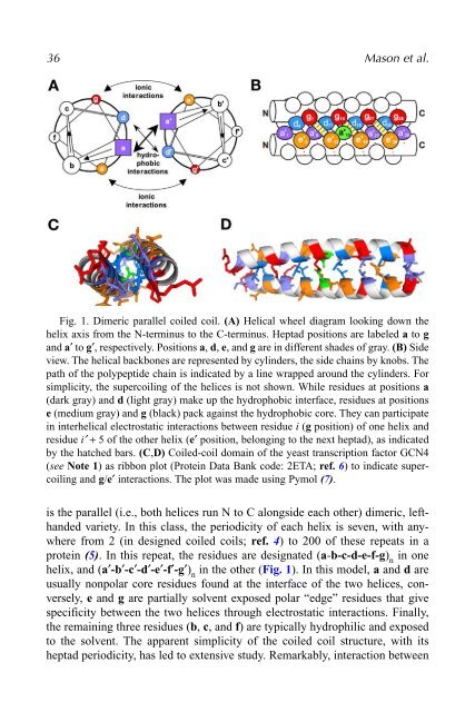 Protein Engineering Protocols - Mycobacteriology research center