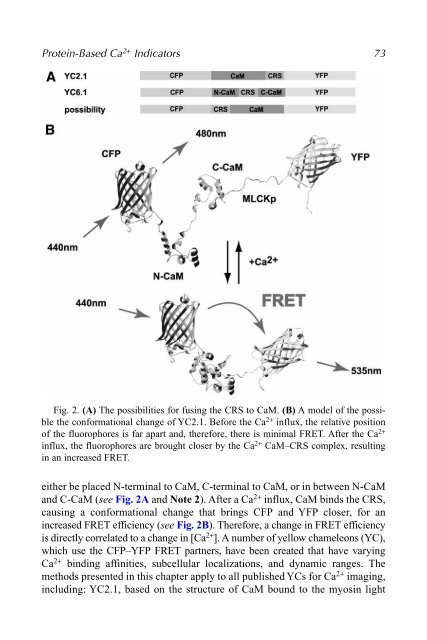 Protein Engineering Protocols - Mycobacteriology research center