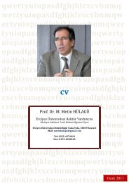 Prof. Dr. M. Metin HÃLAGÃ - Prof. Dr. Metin HÃ¼lagÃ¼