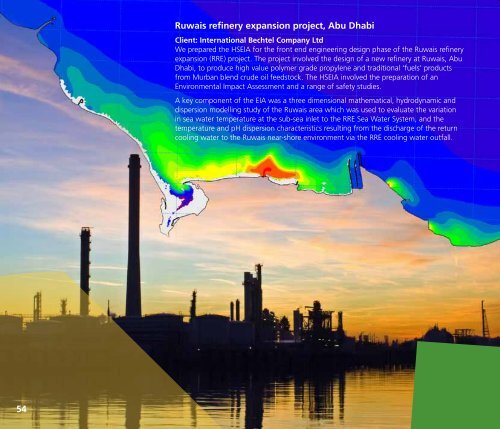 International Environmental Impact Assessment - Atkins