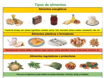 Tipos de alimentos - Gobierno de Canarias