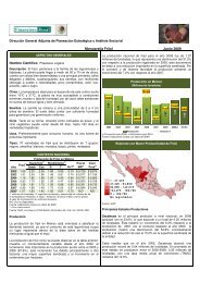 Monografía Frijol Junio 2009 - Financiera Rural