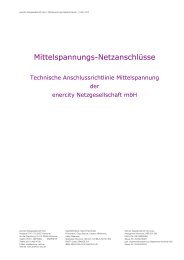 Download - bei der enercity Netzgesellschaft