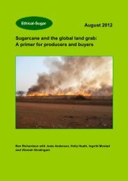August 2012 Sugarcane and the global land grab: A ... - Sucre Ethique
