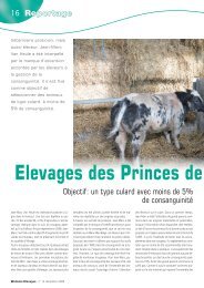 Elevage des Princes de Ligne - AWE