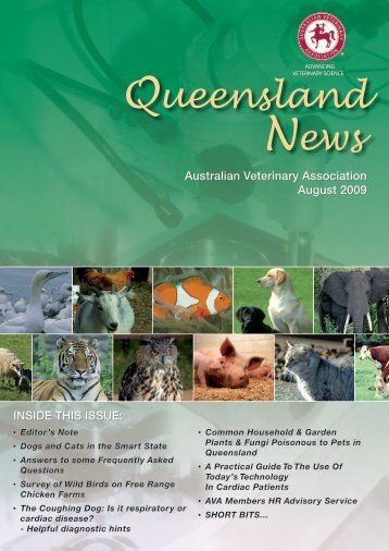 Queensland News - Australian Veterinary Association