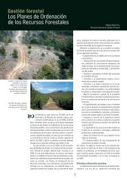 Gestión forestal - Cortes de Aragón