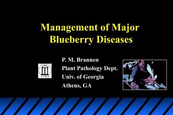 Management of Major Blueberry Diseases - The Southern Region ...