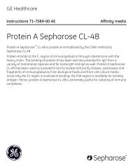 Protein A Sepharose CL-4B