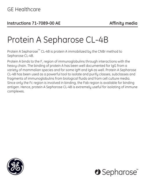 glutathione sepharose 4b ge healthcare Protein A Sepharose CL-4B