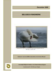 belgisch ringwerk - The European Union for Bird Ringing