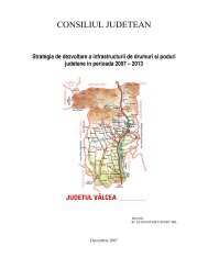 Download - Consiliul Judetean Valcea