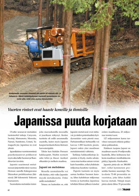 Japanissa puuta korjataan toisin