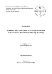 Ermittlung der Hydrodynamik mit Hilfe von Tracertests im ...