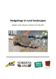 Hedgehogs in rural landscapes