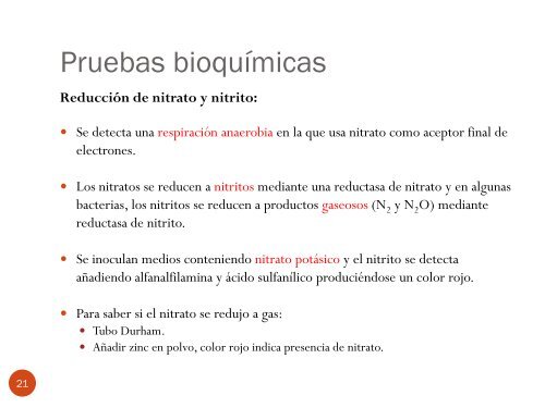 IdentificaciÃ³n bioquÃ­mica de los bacilos Gram-negativos CapÃ­tulo 9