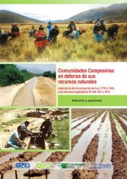 Comunidades Campesinas: en defensa de sus recursos ... - Cepes