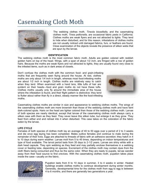 Case Making Moth - Aardvarkpestmgmt.com - Aardvark Pest ...