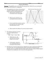 OCA_Enzyme Worksheet - nnhsbergbio