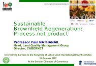 Paul Nathanail - Sustainable Brownfield Regeneration