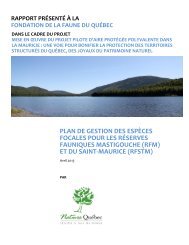 Plan de gestion des espèces focales pour les ... - Nature Québec