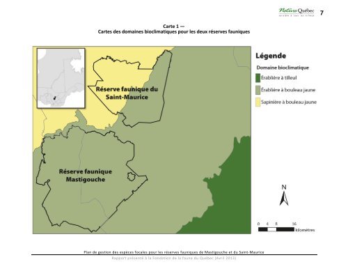 Plan de gestion des espèces focales pour les ... - Nature Québec