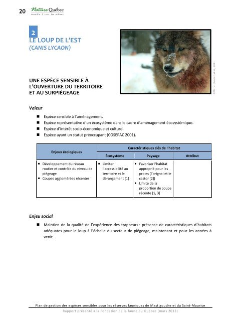 Plan de gestion des espèces focales pour les ... - Nature Québec