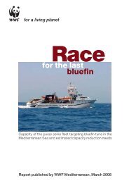 Race for the last bluefin Capacity of the purse seine fleet ... - WWF